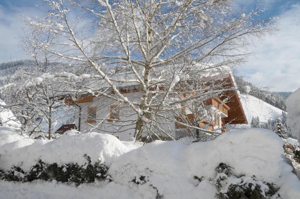 דירות וורפנוונג Haus Alpenflora מראה חיצוני תמונה